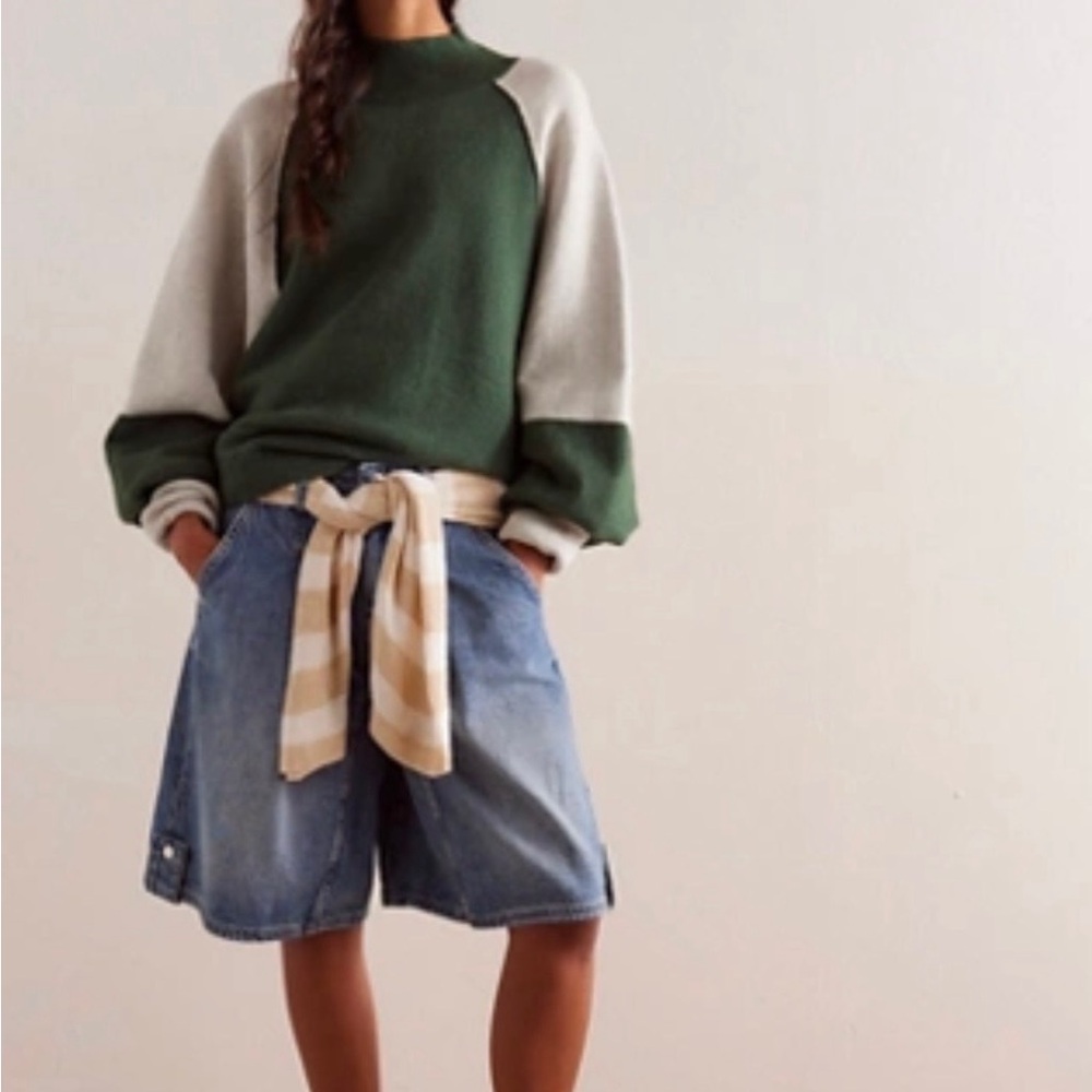 Free People We The Free Dayton Colorblock Sweater|Alpine| Size L